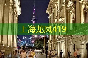 爱上海：在艺术中追求卓越：上海的文化精髓