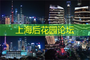 上海新茶工作室：跨越时空的感动，上海茶庄的故事
